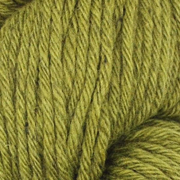 La Pampa Organic Merino by Juniper Moon-Bulky Yarn-109-Fern-Yarnorama